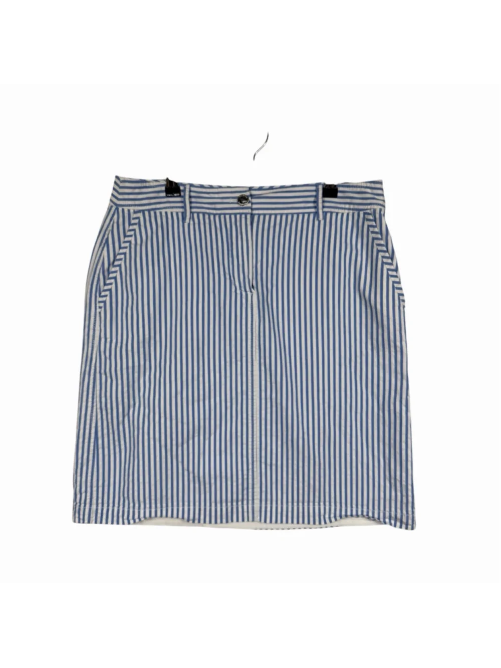 Talbots Preppy Blue and White Striped Cotton Lined Skirt Women's Size 10